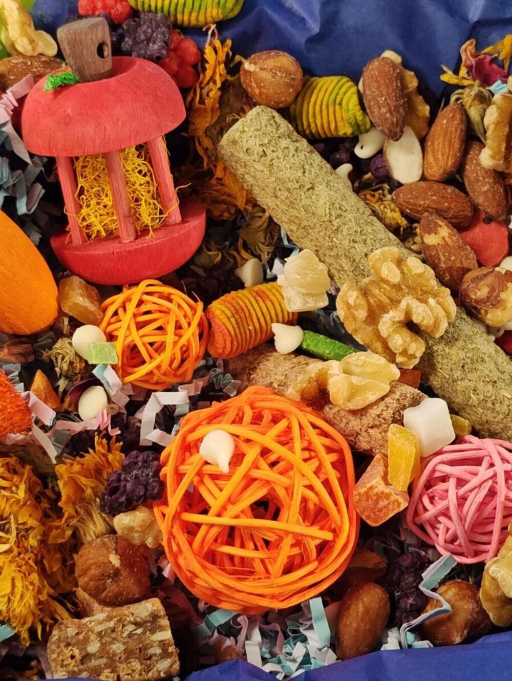 Play & Chew Rodent Fun  "No More Boredom" Box - Rats, Mice, Gerbils, Hamsters...